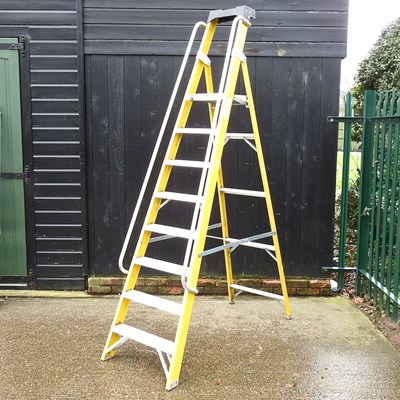 Lot 567 - An aluminium platform stepladder, 250cm high