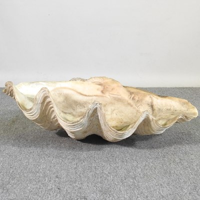 Lot 34 - A large clam shell, Tridacna gigas, half shell,...