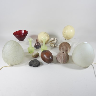 Lot 37 - A sea urchin, together with another, two...