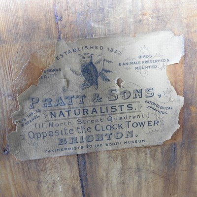 Lot 27 - A Victorian pine miniature chest, containing...
