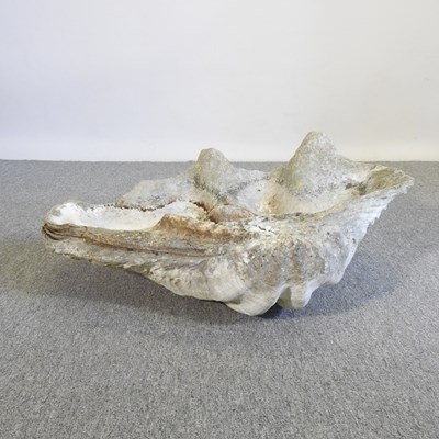 Lot 7 - A large clam shell, Tridacna gigas, half shell,...