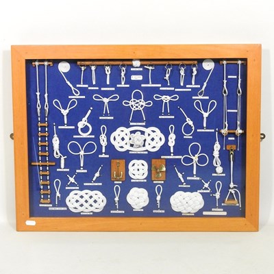 Lot 811 - A collection of marine knots, mounted in a...