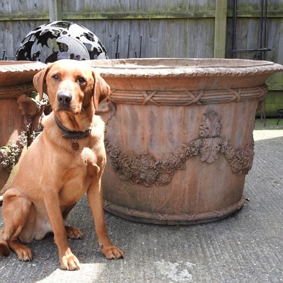Lot 323 - An unusually large terracotta garden pot, of...