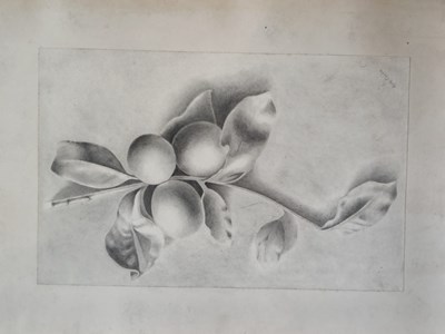 Lot 109 - A collection of unframed charcoal studies, to...