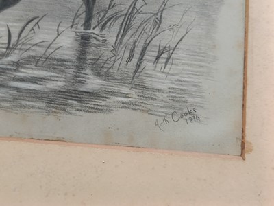 Lot 109 - A collection of unframed charcoal studies, to...