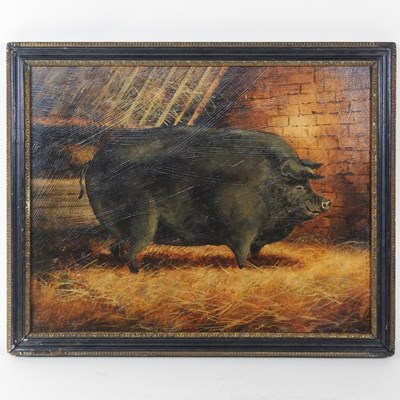 Lot 525 - English school, a prize black pig, oil on...