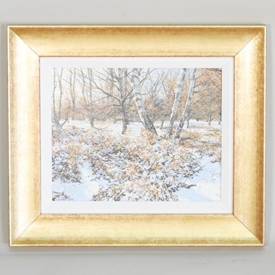 Lot 30 - Alistair Butt, b1963, This Morning's Snow Fall,...