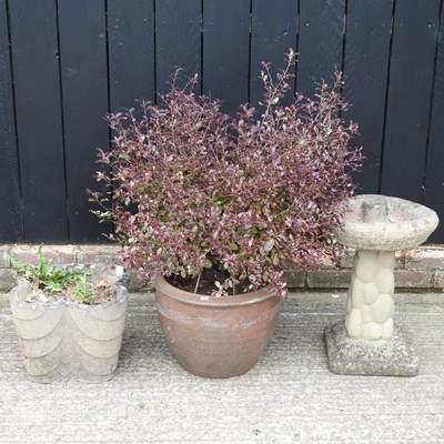Lot 259 - A glazed garden pot, 38cm diameter, planted...