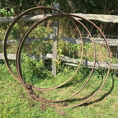 Lot 509 - Three cartwheel iron tyres