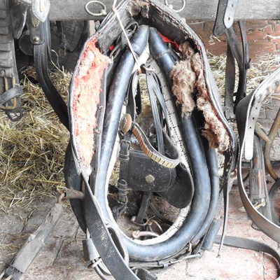 Lot 330 - A black leather pony harness