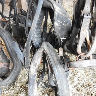 Lot 335 - A cob harness