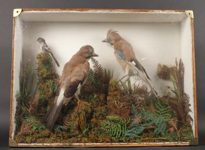 Lot 224 - An early 20th century taxidermy group of birds,...