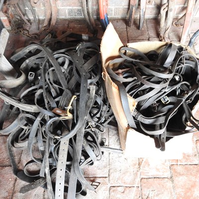Lot 360 - A large collection of horse tack