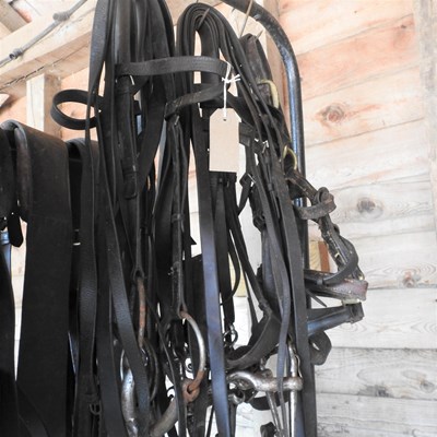 Lot 337 - A collection of bridles