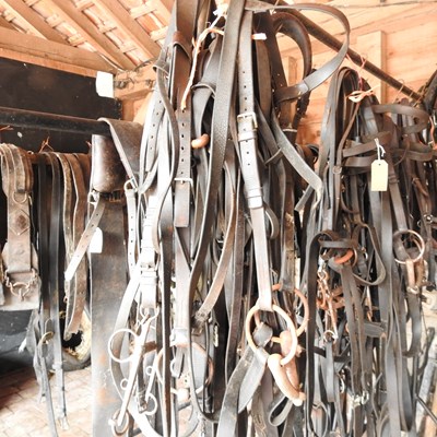 Lot 338 - A collection of bridles