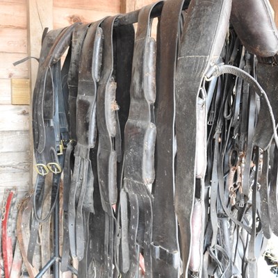Lot 350 - A collection of stallion rollers