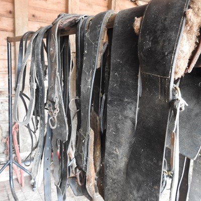 Lot 345 - A collection of horse tack