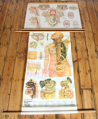 Lot 322 - A collection of mostly medical and military...