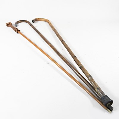 Lot 74 - A carved wooden novelty walking stick, with a...