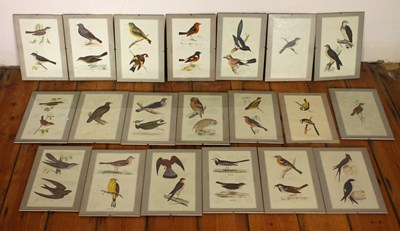 Lot 371 - A set of nineteen prints of birds, together...