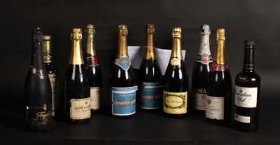 Lot 246 - Eight various bottles of champagne
