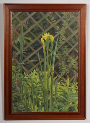 Lot 272 - Neville Crowson, Yellow Iris, oil on board, 50...