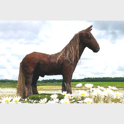Lot 46 - Damian O'Connor, contemporary, War Horse,...