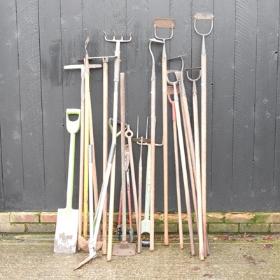 Lot 631 - A collection of gardening hand tools