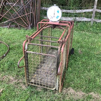 Lot 593 - A pig weighing crate