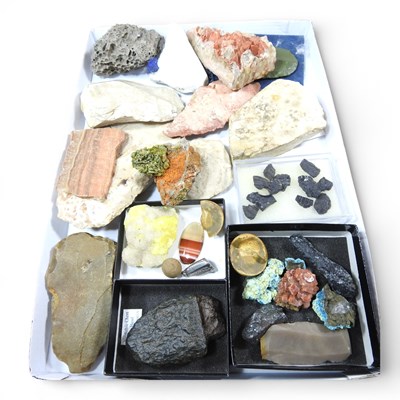 Lot 592 - A collection of rock samples and minerals, to...
