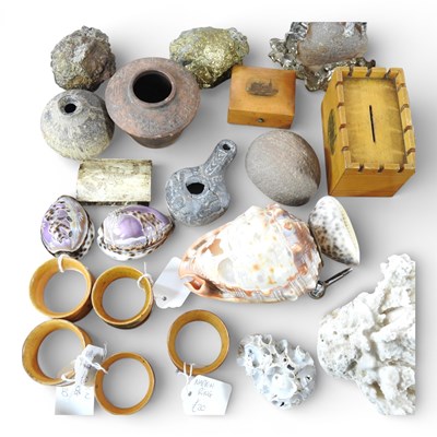 Lot 484 - A collection of shells, rock samples,...