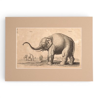 Lot 200 - Francis Barlow (English, c.1626-1704),...