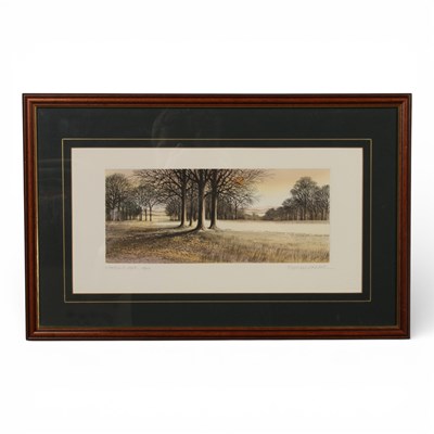 Lot 639 - Kathleen Caddick (b.1937), 'Woodland Walk',...