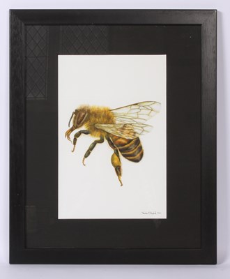 Lot 382 - Tereska Shepherd (British, contemporary),...