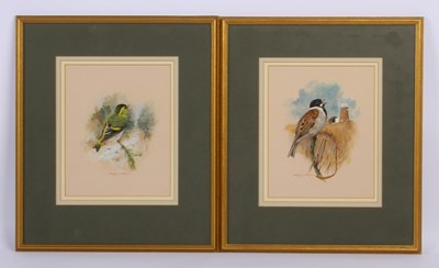 Lot 420 - Brian C. Day (contemporary), Reed bunting bird...