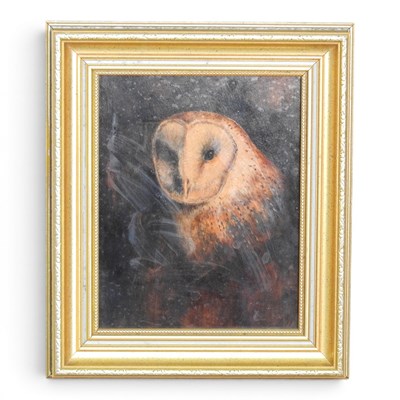 Lot 264 - English school, 20th century, a barn owl, oil...