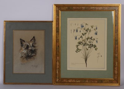 Lot 484 - Marjorie Cox (1915-2003), Musher, pastel,...