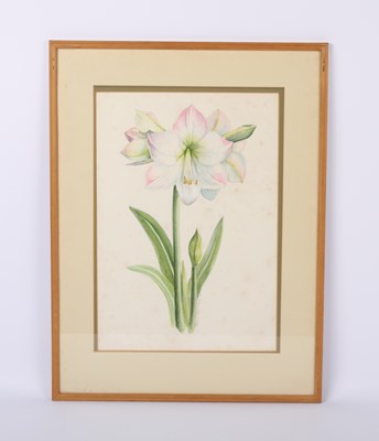 Lot 309 - Mary Barnard (English, 20th century),...