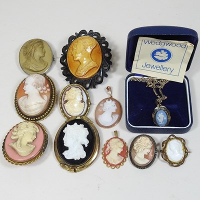 Lot 16 - A collection of various cameo brooches