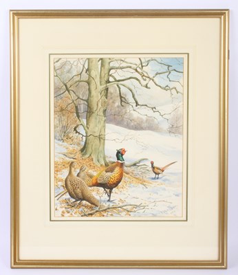 Lot 360 - Robert Morton (20th century), Pheasants,...