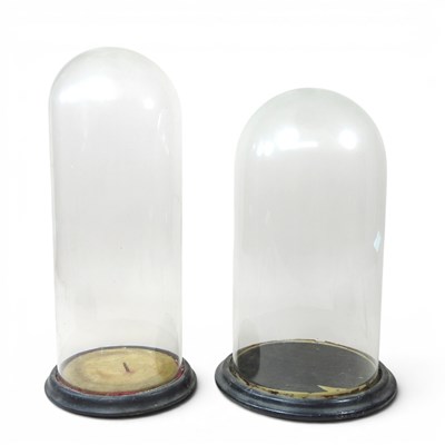 Lot 163 - A glass dome, 35cm high, together with another...