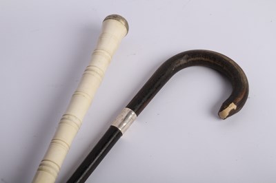 Lot 189 - Two walking sticks, one having a crook handle...