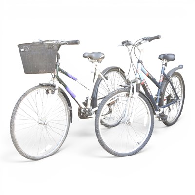 Lot 490 - A Raleigh mountain bike, together with another...