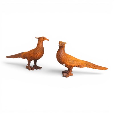Lot 138 - A pair of cast metal garden statues pheasants,...