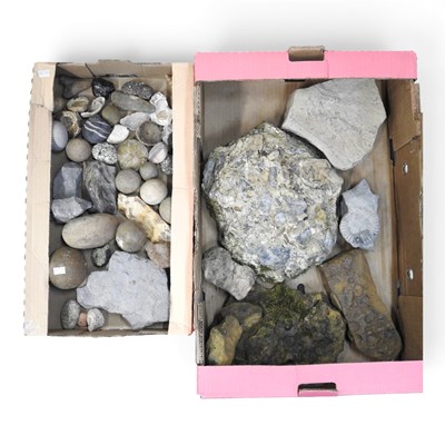 Lot 755 - A collection of fossils and stones