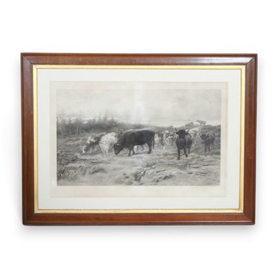 Lot 546 - English school, cattle, etching, H:38cm W:35cm...