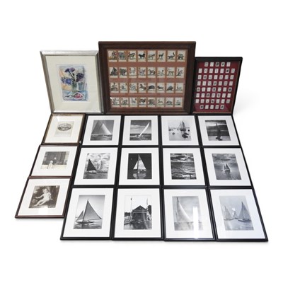 Lot 427 - Sue Shorvon, contemporary, still life, signed...