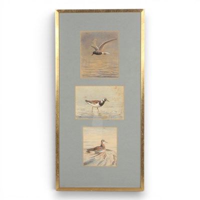 Lot 204 - John Cyril Harrison (1898-1985), three studies...