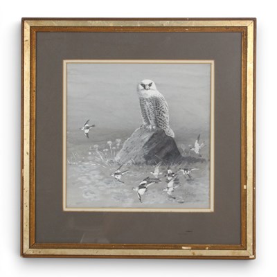 Lot 206 - John Guille Millais (1865-1931), owl perched...