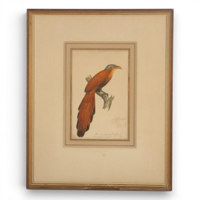Lot 222 - English school (19th century), study of a...